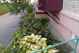 Квартира на Динамо