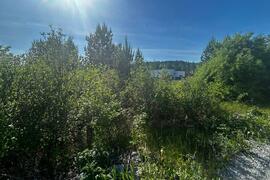 СНТ НАДЕЖДА