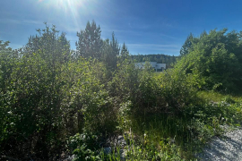 СНТ НАДЕЖДА