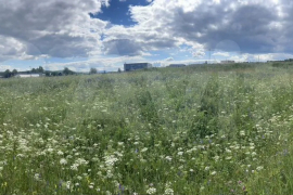 Участок 15 сот. (ИЖС)