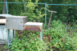 СНТ под ИЖС